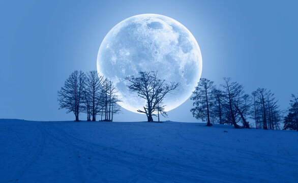 Beautiful winter landscape with dead trees and shadows on the snow and Super full moon - Baikal lake, Siberia "Elements of this image furnished by NASA "