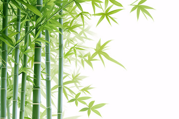 Naklejka premium Green bamboo stalks with delicate leaves against a white background
