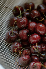 Freshly washed cherries glisten with the promise of summer's sweetness