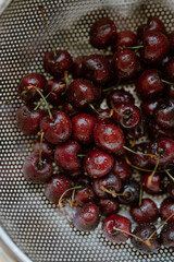 Freshly washed cherries glisten with the promise of summer's sweetness