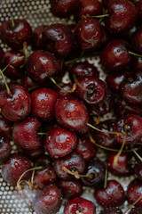 Freshly washed cherries glisten with the promise of summer's sweetness