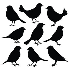 Set of catbird animal Silhouette Vector on a white background