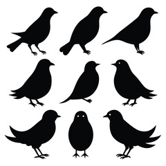 Set of catbird animal Silhouette Vector on a white background