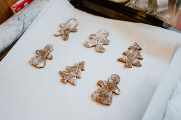 Warmth and holiday cheer with festive gingerbread cookies, perfect for sweet moments with loved ones