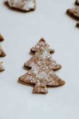 Warmth and holiday cheer with festive gingerbread cookies, perfect for sweet moments with loved ones