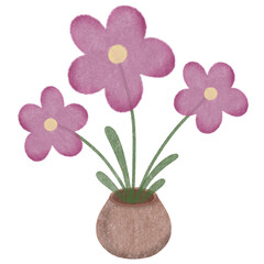 pink orchid in a vase