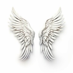 Fototapeta premium wings of the angel