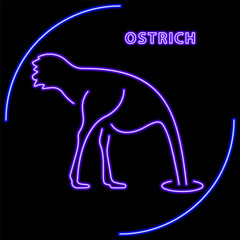 ostrich neon sign, modern glowing banner design, colorful modern design trend on black background. Vector illustration.