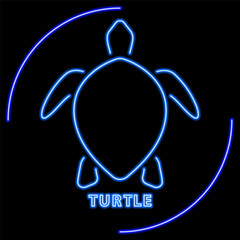 turtle neon sign, modern glowing banner design, colorful modern design trend on black background. Vector illustration.