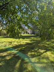 Grüner Park im Sommer