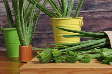 Aloe vera plants and slices arranged on a wooden table
