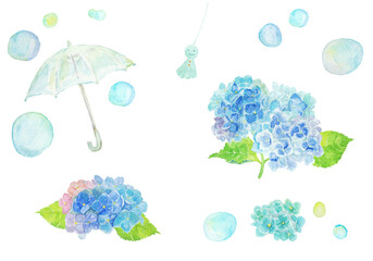 水彩絵の具で描いた6月のあじさいと傘
