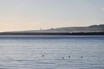 Peaceful sea views, North Shields 