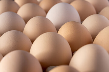 Brown eggs stacked in rows.Group of Fresh white Eggs in a cardboard cassette. Organic food from...
