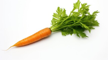 fresh one carrot background