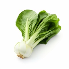 fresh green cabbage