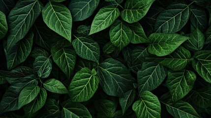 veins dark green pattern