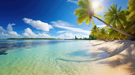 palm beach with sun