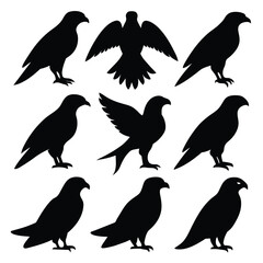 Set of falcon animal Silhouette Vector on a white background