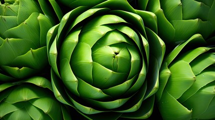 Obraz premium green artichoke vegetable