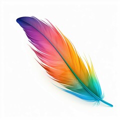 rainbow feather on white background