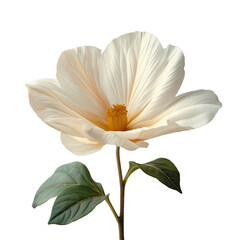 Fototapeta premium A white flower with a green stem and leaf. The flower is the main focus of the image