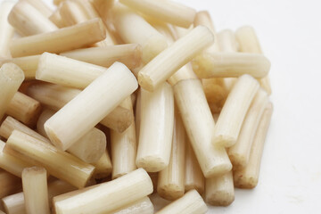 Fresh lotus rootlet on white background.