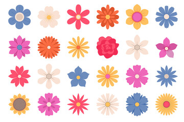 Abstract flowers, top view. Spring flora. Flat Illustration on transparent background