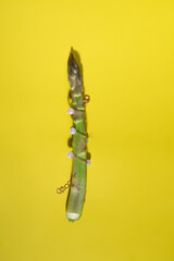 Asparagus split in half with bracelet on yellow backdrop, captured in macro photography