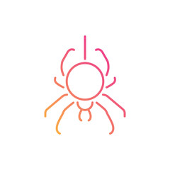 Spider Net vector icon