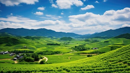 landscape japan grape background