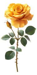 Obraz premium A single yellow rose with a green stem, The rose is the main focus of the image and it is the only flower visible