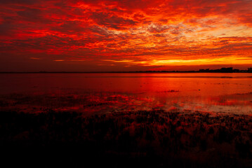 Tropical amazing dramatic golden sky on sunset over scenic river lake seascape ocean. Silhouette...