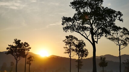 Golden sunshine sky tropical tree fields in sunny morning. Silhouette tree gold dawn mountain in...
