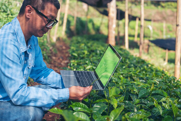 Smart farmer hands using laptop eco green farm sustainable quality control. Close up Hand typing...