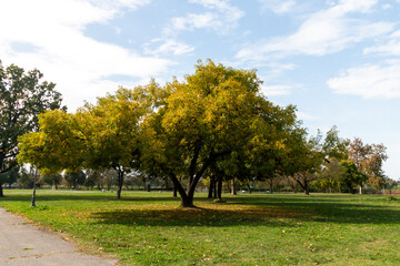 Panoramic view of the park in Kalemegdan, Belgrade