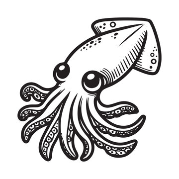 recommend clip art: line art of squid cartoon vector