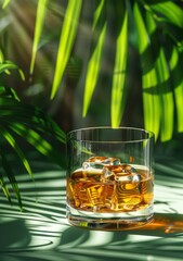 Classic crystal whiskey glass with ice bathed in natural light amongst shadows of palm leaves, evoking calm