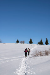 Two women walk up a snowy hill in winter, France, vertical shot with blue sky and copy space