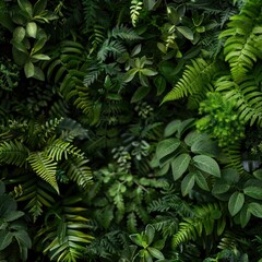 Fototapeta premium green nature background 