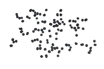 arándanos isolated on a transparent background