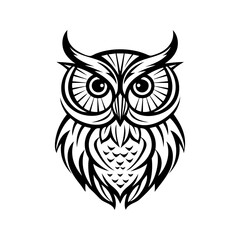Fototapeta premium head of an eagle