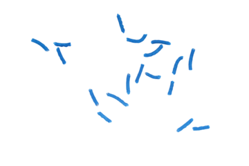 blue pencil strokes isolated on transparent background