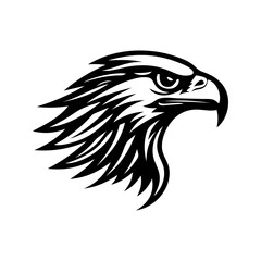 Obraz premium eagle head vector