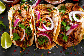 Classic Mexican tacos de cochinita pibil with pulled pork, overhead view