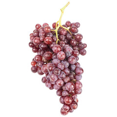 A bunch of ripe red grapes isolated on a white background