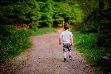 Obraz premium Young boy in a gray t-shirt and jeans, running on a dirt path through a lush green forest, seen from behind.