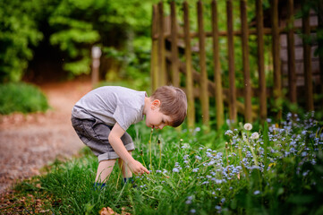 Young boy in a gray t-shirt and jeans, bending down to pick flowers in a garden, surrounded by lush greenery and a wooden fence.