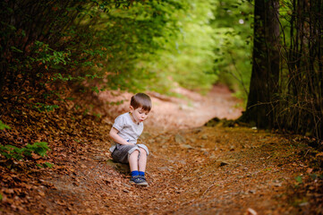 A young boy sits on a leaf-covered forest path, looking back towards the camera. Surrounded by lush green foliage, he appears curious and contemplative.