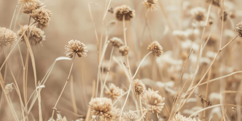 Golden Autumn Meadow with Wildflowers and Tall Dry Grass in Soft Focus
